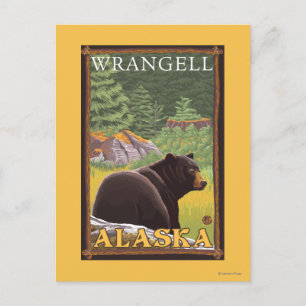 Black Bear in Forest - Wrangell, Alaska Postcard