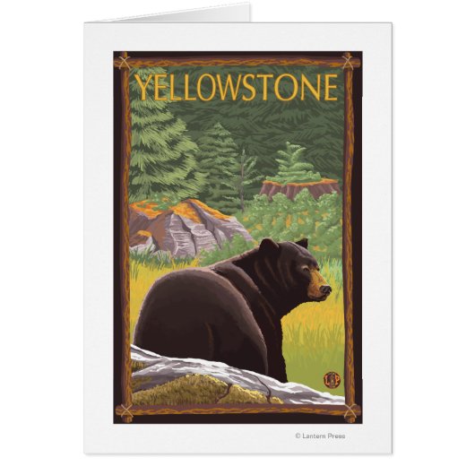 Black Bear in Forest - Yellowstone National Park Cards (Front)