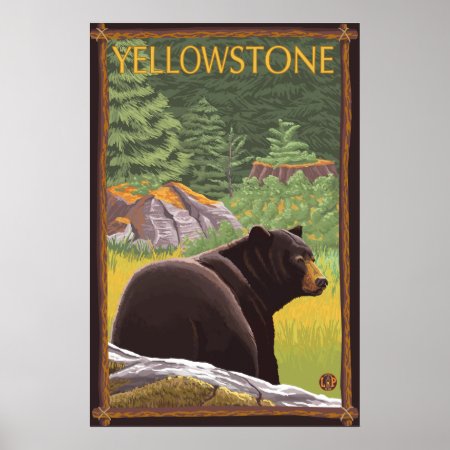 Black Bear In Forest - Yellowstone National Park Poster