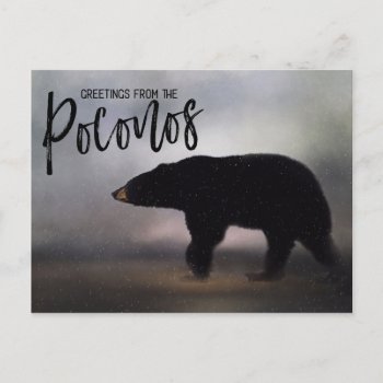 Black Bear In Winter Greetings From The Poconos Postcard by Meg_Stewart at Zazzle