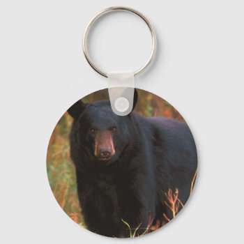 Black Bear Keychain by PapaMart at Zazzle
