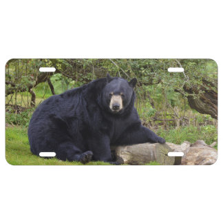 Black bear license plate