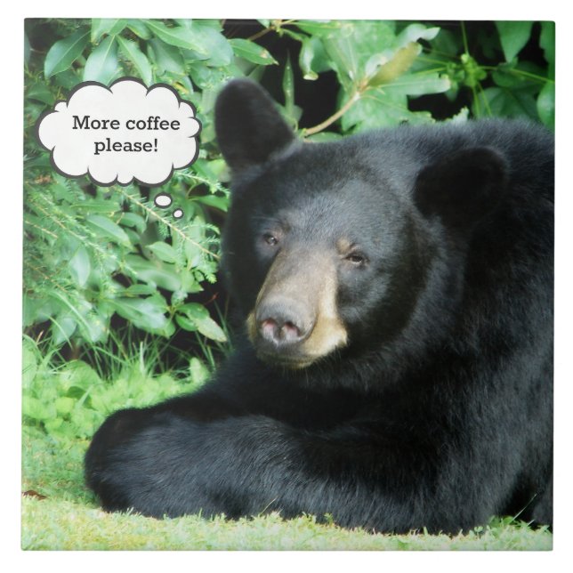 Black Bear - "More Coffee Please"  Ceramic Tile (Front)