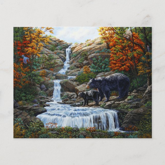 Black Bear Mother & Cub Waterfall (Front)