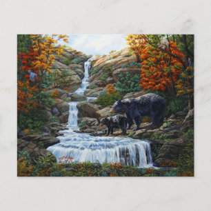Black Bear Mother & Cub Waterfall
