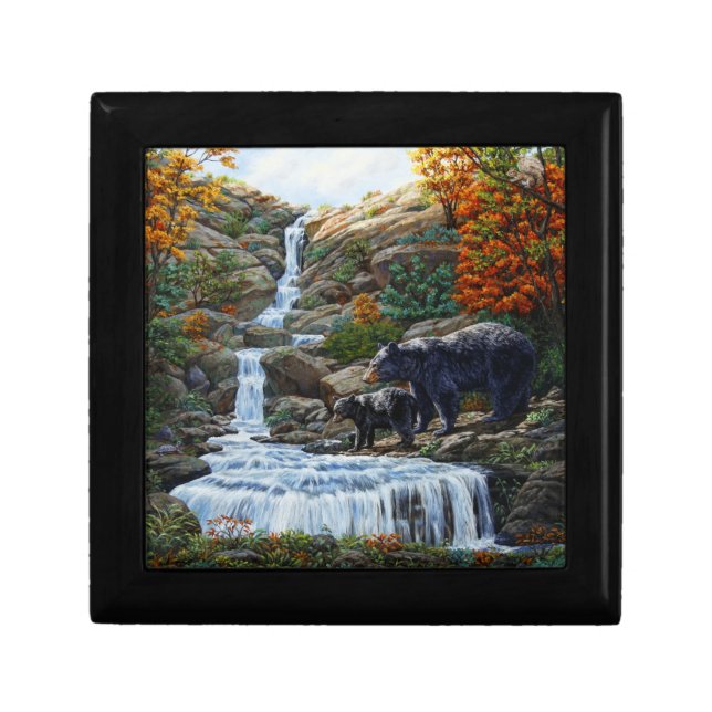 Black Bear Mother & Cub Waterfall Gift Box (Front)