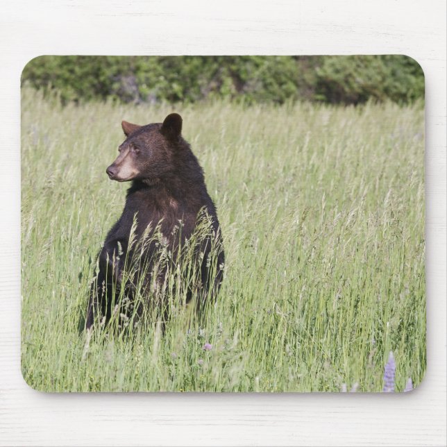 Black Bear Mousepad (Front)