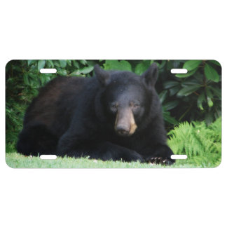 Black Bear - "My Sweet Cubby" License Plate