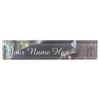 Black Bear Name Plate