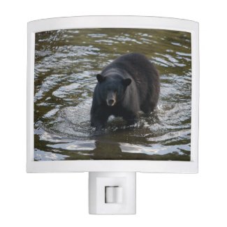 Black Bear Night Light