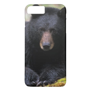 Black bear on an old growth log in the iPhone 8 plus/7 plus case