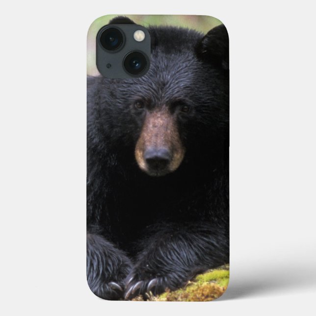 Black bear on an old growth log in the Case-Mate iPhone case (Back)