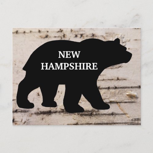 Black bear on birch bark with state  postcard