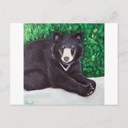 Black Bear Painting Postcard