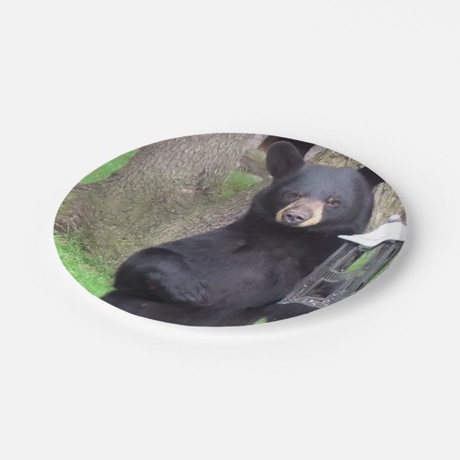 Black Bear Paper Plates (Angled)