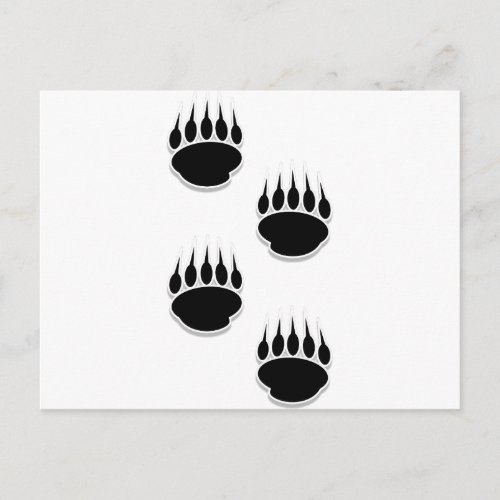 Black Bear Paw Prints Postcard