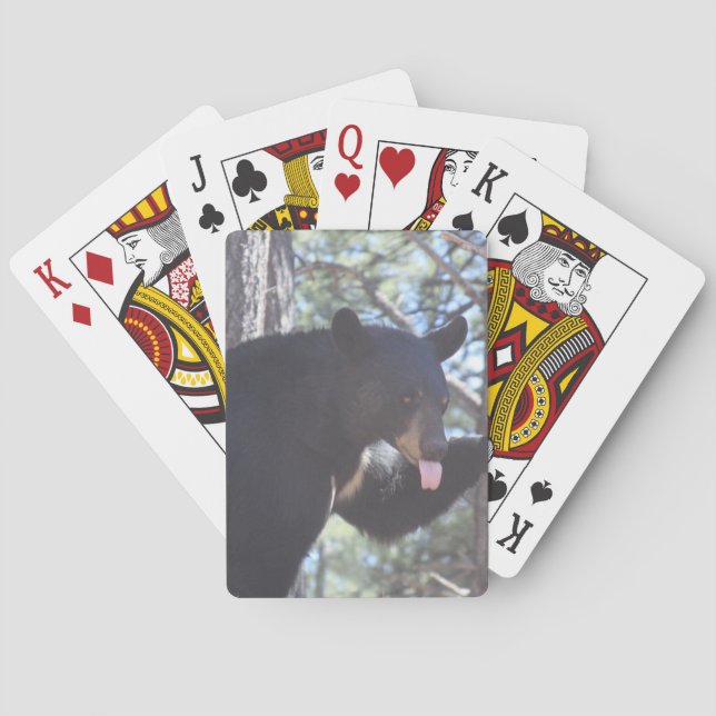 Black Bear playing cards (Back)