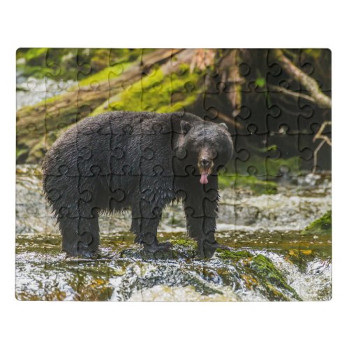 Black Bear Qua Creek  British Columbia Jigsaw Puzzle