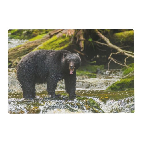 Black Bear Qua Creek  British Columbia Placemat