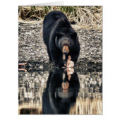 Black Bear Reflections (Front)