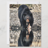 Black Bear Reflections (Front)