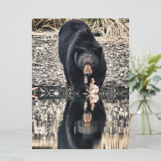 Black Bear Reflections (Standing Front)