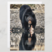 Black Bear Reflections (Front/Back)