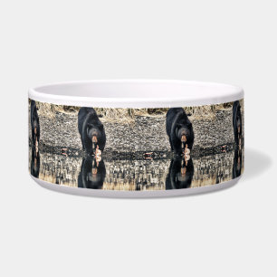 Black Bear Reflections Bowl