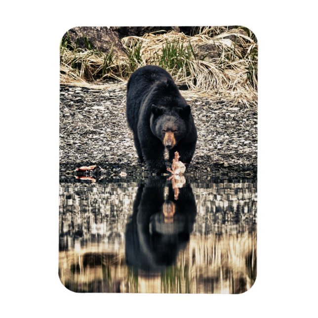 Black Bear Reflections Magnet (Vertical)