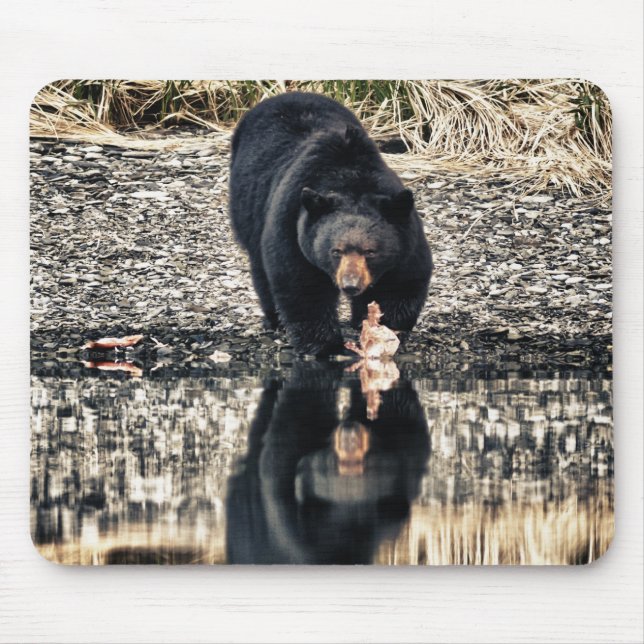 Black Bear Reflections Mouse Pad (Front)
