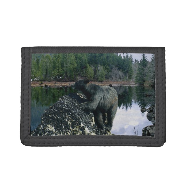 Black Bear & Rock Wildlife Photo Art Tri-fold Wallet (Front)