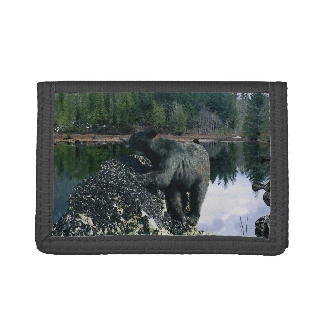 Black Bear & Rock Wildlife Photo Art Trifold Wallet (Front)