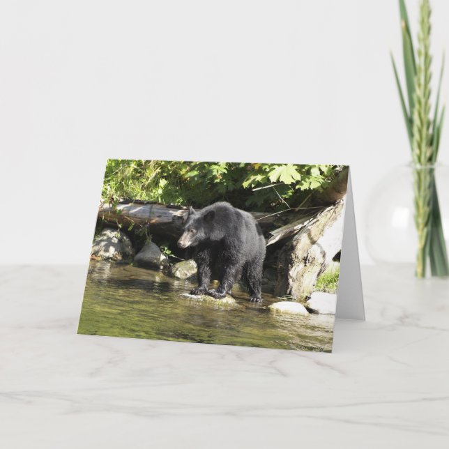 Black Bear "Salmon Spotting" Greeting Card (Front)