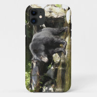 Black Bear "Salmon Spotting" Wildlife iPhone Case