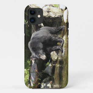 Black Bear "Salmon Spotting" Wildlife iPhone Case