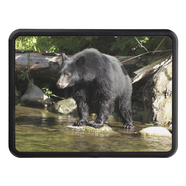 Black Bear "Salmon Spotting" Wildlife Tow Hitch Cover (Front)