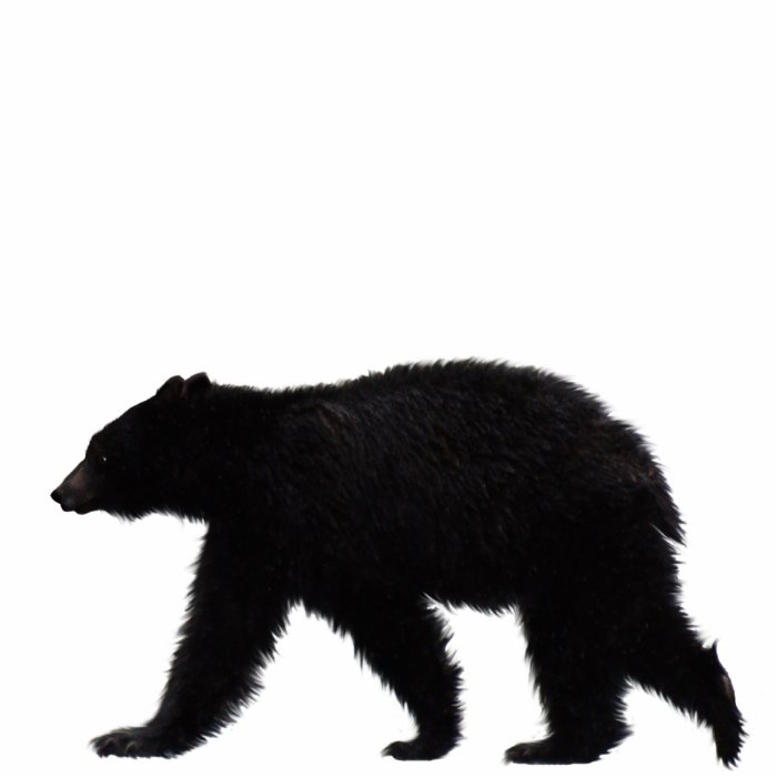 BLACK BEAR sculpted Wildlife Art Gift Acrylic Cut Outs