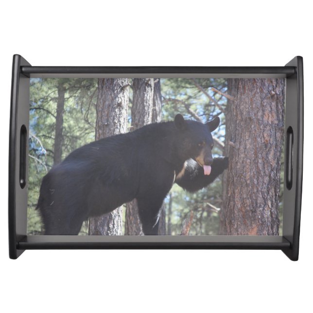Black Bear Serving Tray (Front)