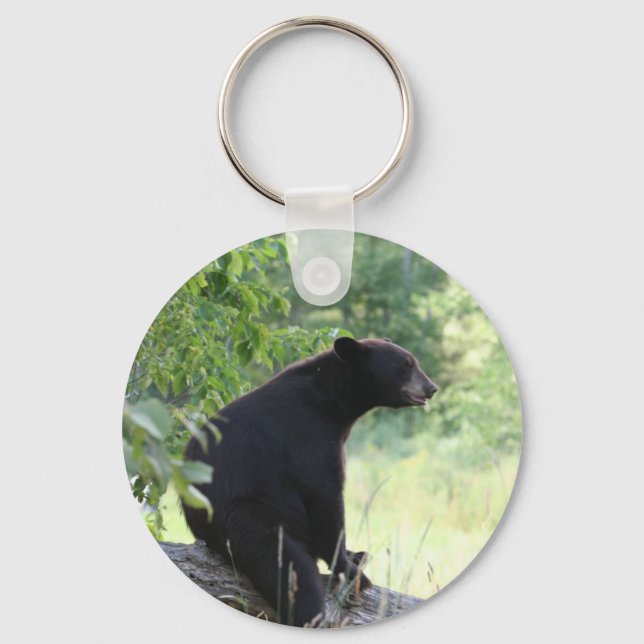 black bear sitting in tree keychain (Front)