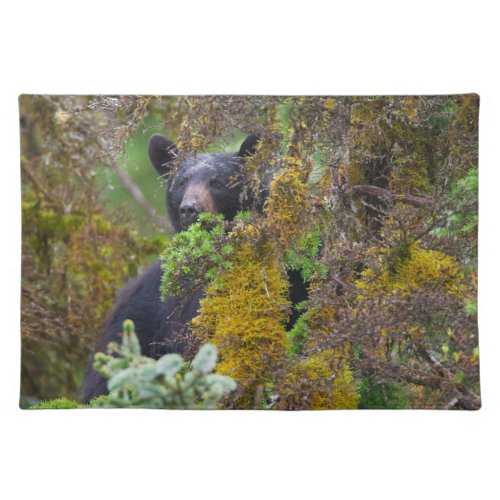 Black Bear  South Central Alaska Cloth Placemat