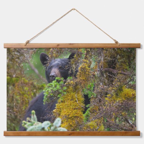 Black Bear  South Central Alaska Hanging Tapestry