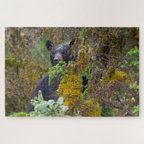 Black Bear  South Central Alaska Jigsaw Puzzle