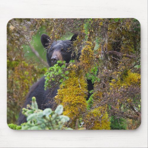Black Bear  South Central Alaska Mouse Pad