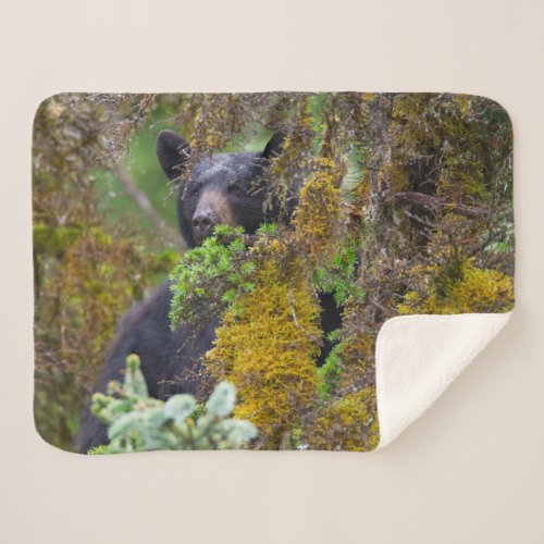 Black Bear  South Central Alaska Sherpa Blanket