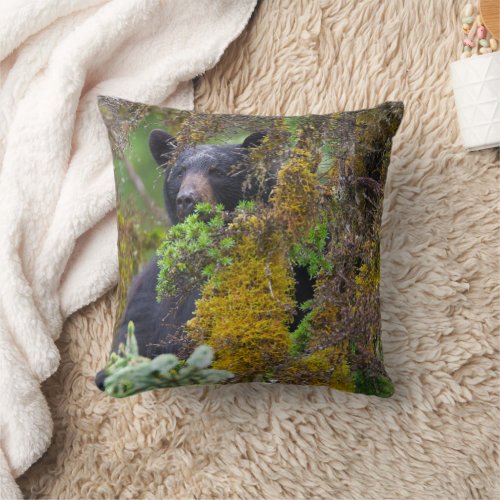Black Bear  South Central Alaska Throw Pillow