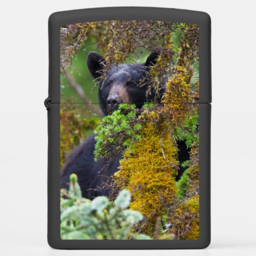 Black Bear  South Central Alaska Zippo Lighter