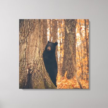 Black Bear Standing By A Tree Canvas Print by Vanillaextinctions at Zazzle