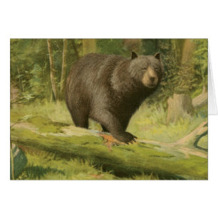 Black Bear Stepping on a Tree Trunk Cards
