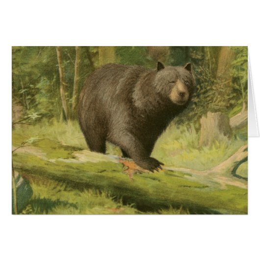 Black Bear Stepping on a Tree Trunk Cards (Front Horizontal)