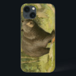 Black Bear Stepping on a Tree Trunk iPhone 13 Case<br><div class="desc">This fine art print by Oliver Kemp illustrates a brown bear stepping on a fallen tree in a forest. The pastel green colors are calming for the eye and create a nice warm feeling of the awakening nature in the spring. A great addition to any rustic home decor!</div>
